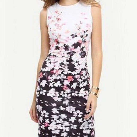 Multicolored Dress - Picture 1 of 1